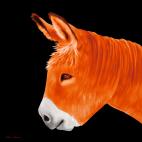 PTIT ANE ORANGE PTIT ANE JAUNE donkey Showroom - Inkjet on plexi, limited editions, numbered and signed. Wildlife painting Art and decoration. Click to select an image, organise your own set, order from the painter on line